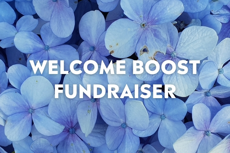 A close-up photo of soft purple hydrangea flowers with the text “WELCOME BOOST FUNDRAISER” centered in bold white letters.