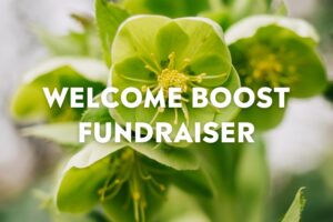 A close-up photo of green hellebore flowers in bloom, with the text “WELCOME BOOST FUNDRAISER” centered in white bold letters.