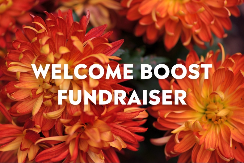 A close-up photo of vibrant orange chrysanthemum flowers, with the text “WELCOME BOOST FUNDRAISER” centered in white bold letters.