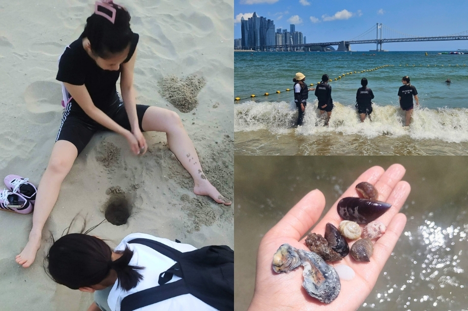 Students and volunteers collecting shells and enjoying the beach along Busan's coastline.